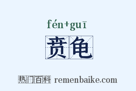 贲龟是什么意思的图片